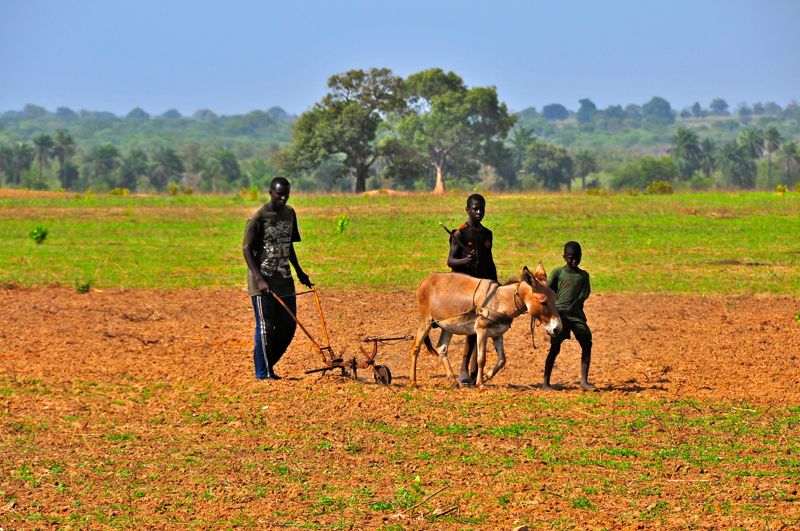 Senegal